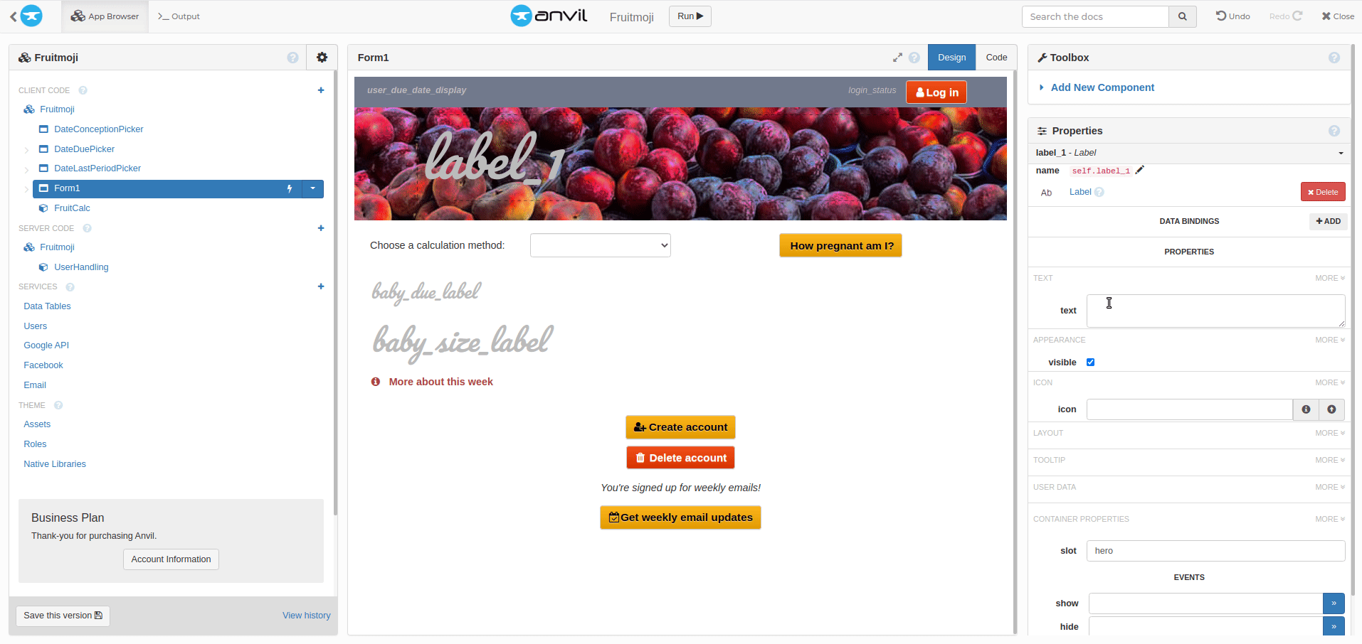 Adding labels to my Form. I chose the font ‘Pacifico’.